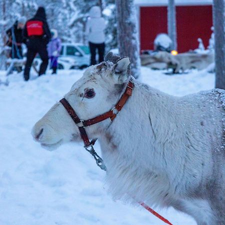Skyfire Village Igloos Rovaniemi Exteriör bild