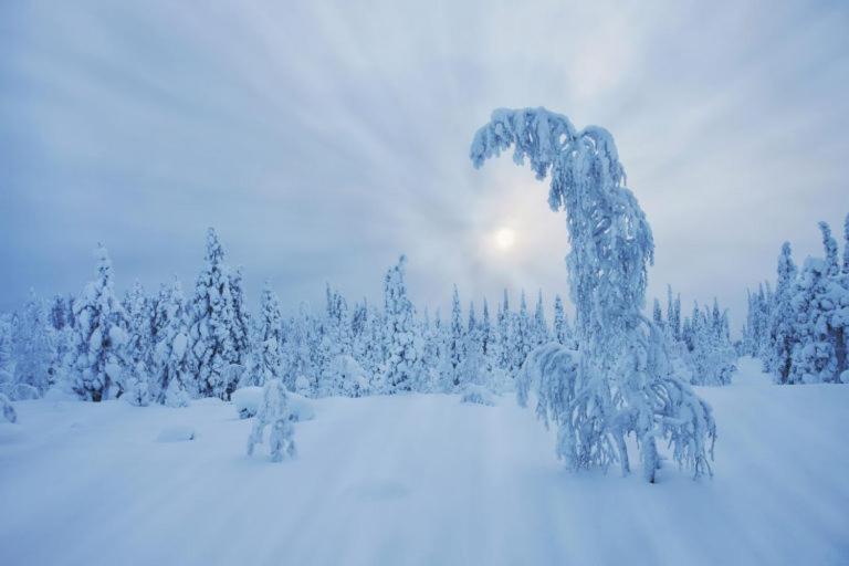 Skyfire Village Igloos Rovaniemi Exteriör bild