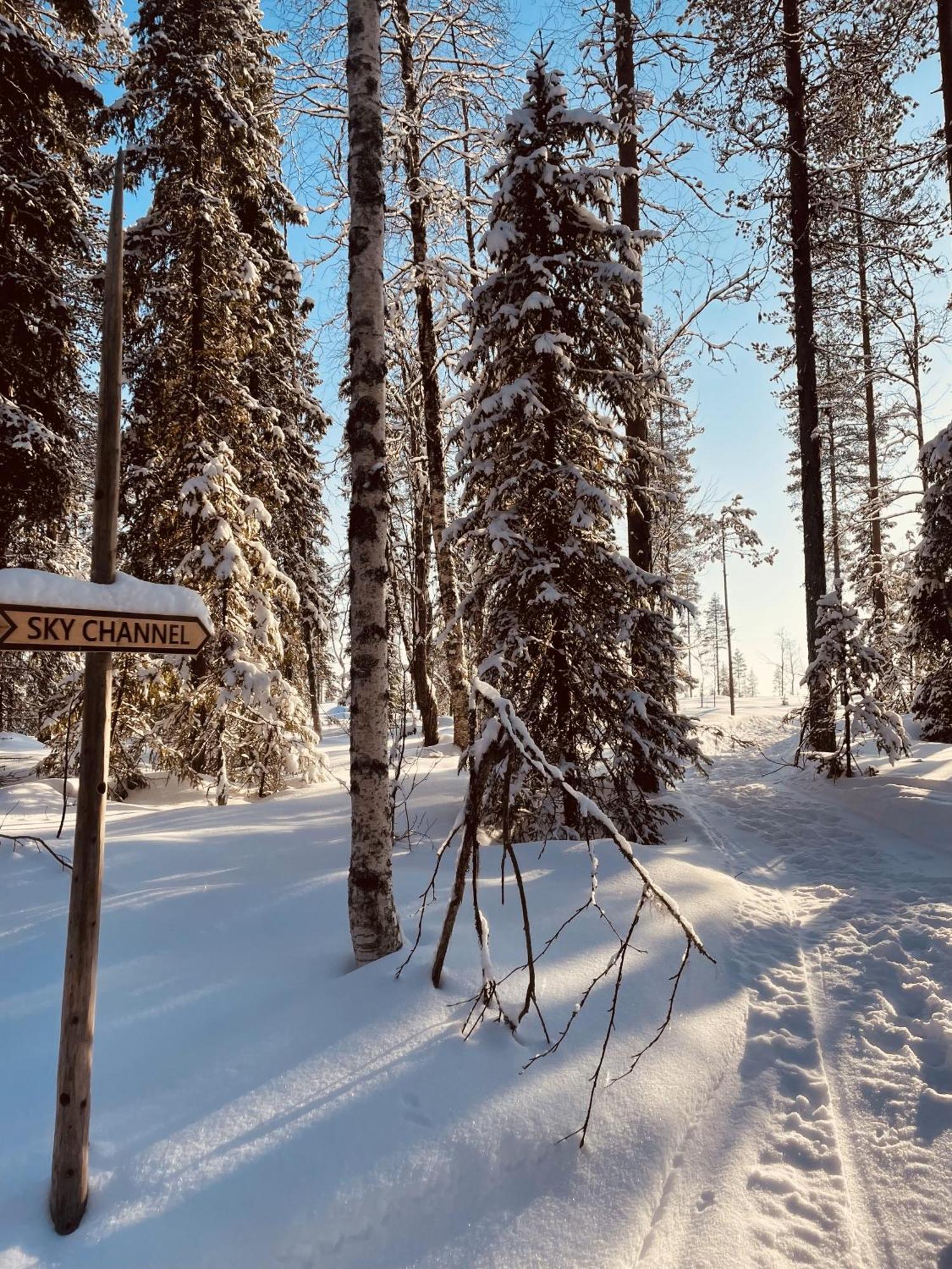 Skyfire Village Igloos Rovaniemi Exteriör bild