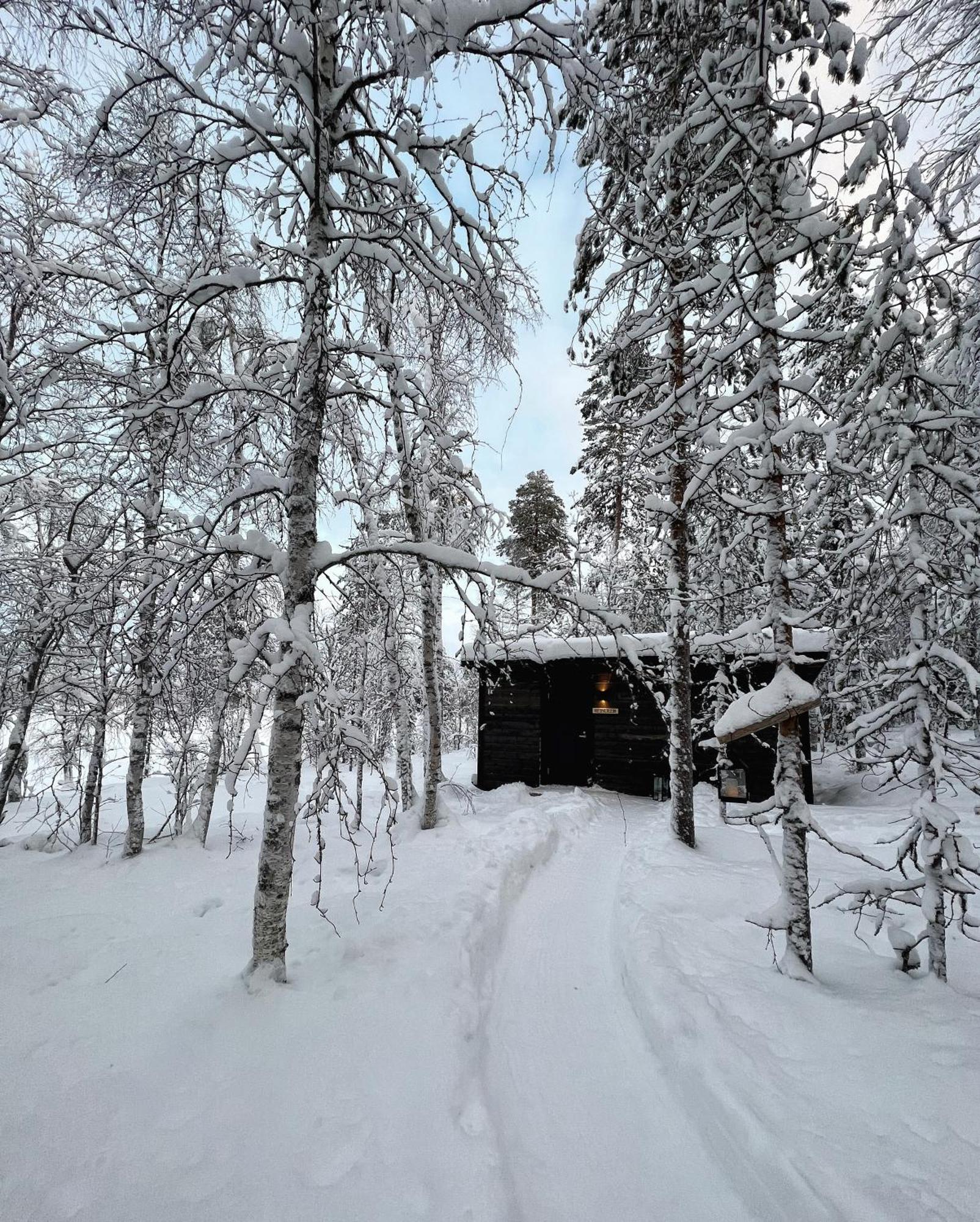 Skyfire Village Igloos Rovaniemi Exteriör bild