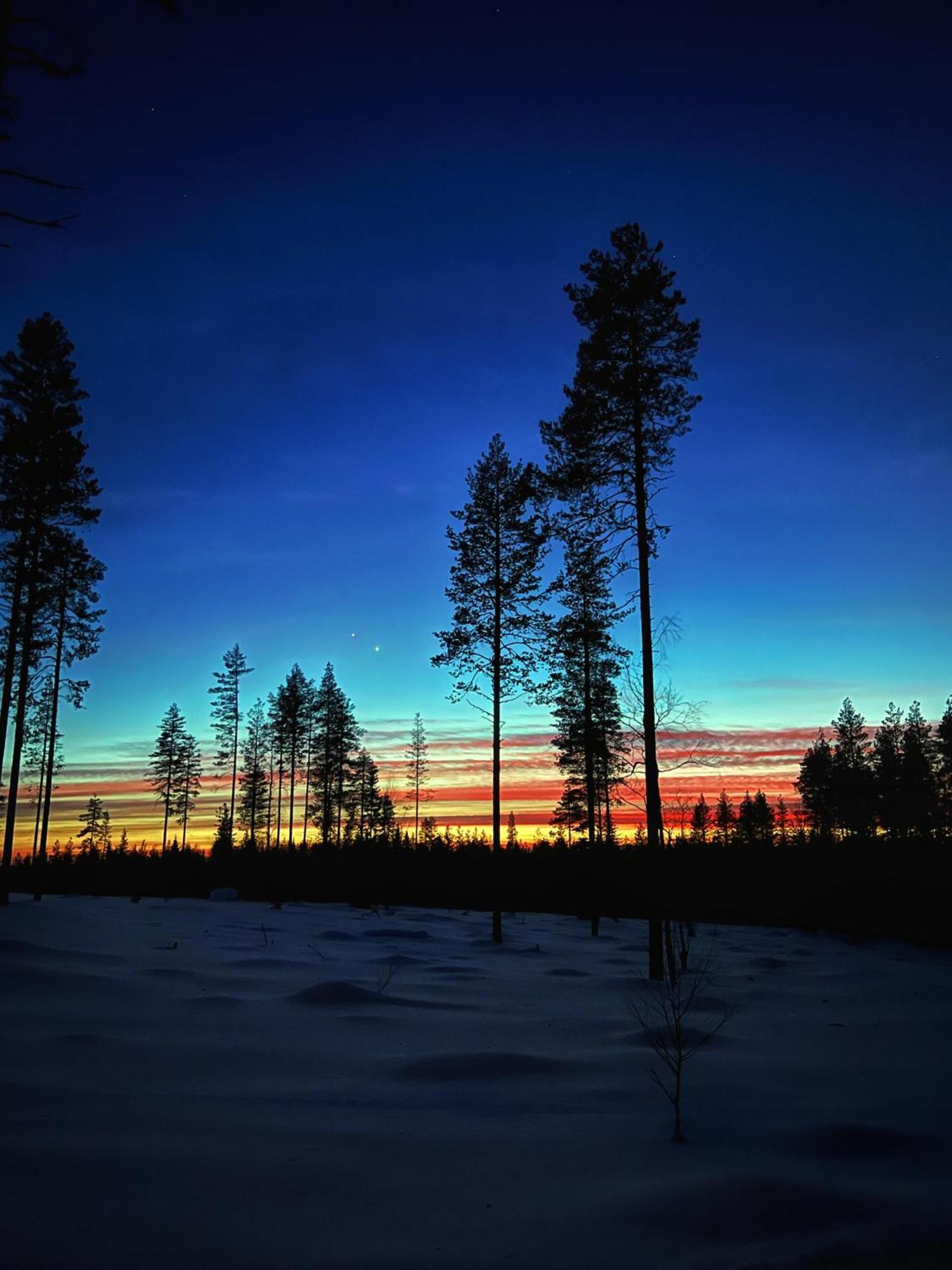 Skyfire Village Igloos Rovaniemi Exteriör bild